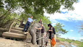 Capture the majestic beauty of Buon Ma Thuot’s ethical sanctuary